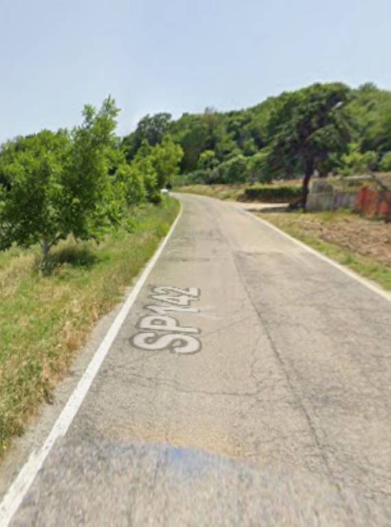 immagine annuncio 2 di 11