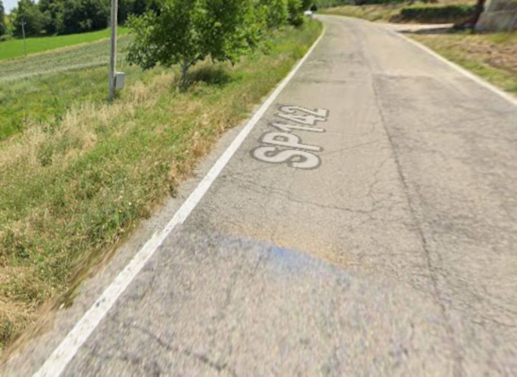 immagine annuncio 3 di 11