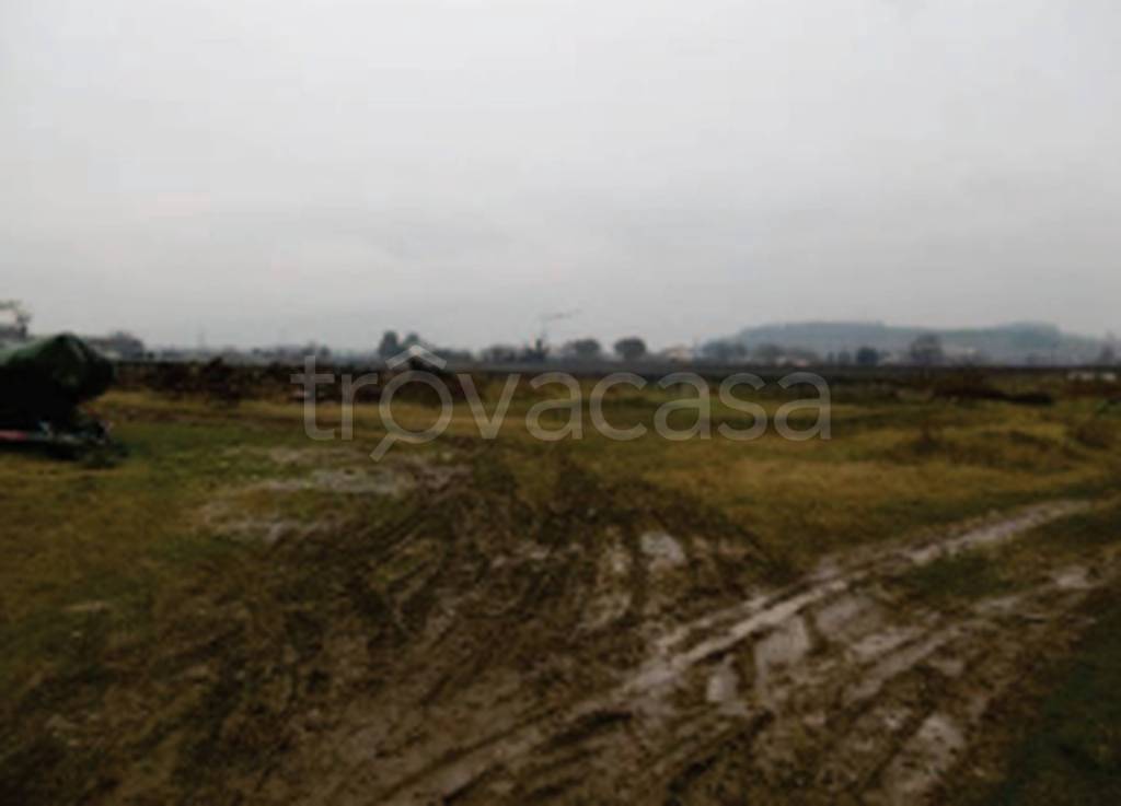 immagine annuncio 6 di 12