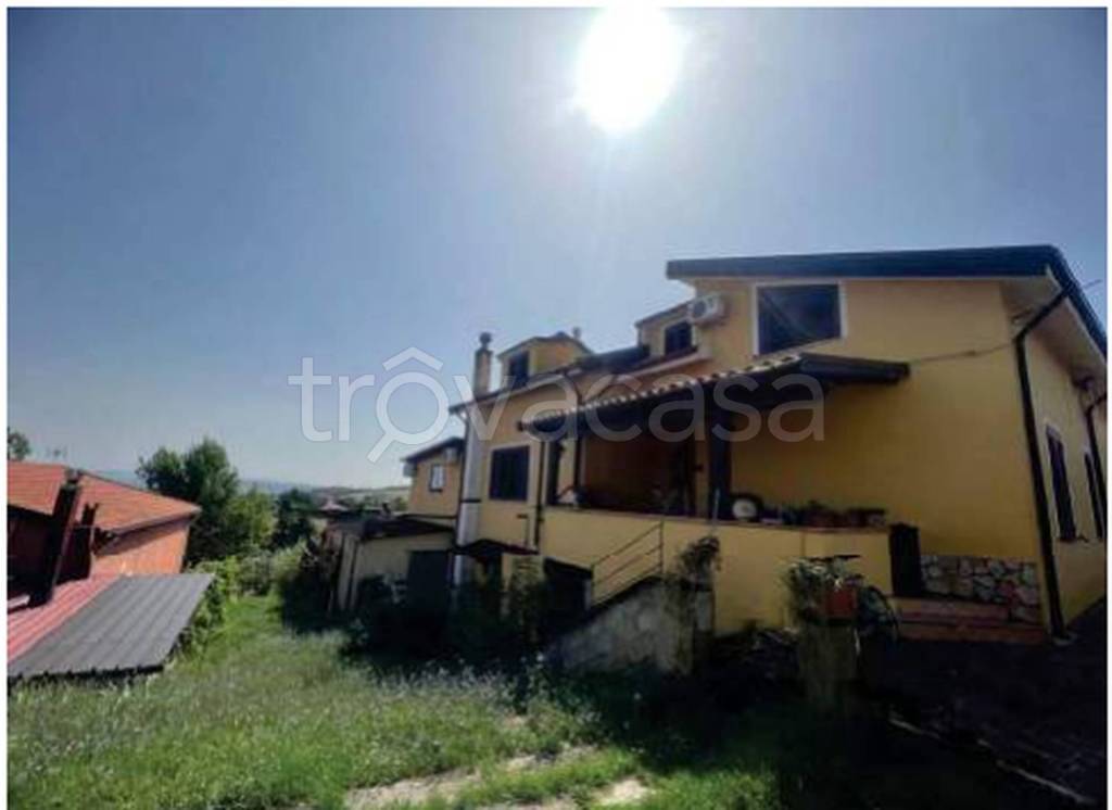 immagine annuncio 3 di 13