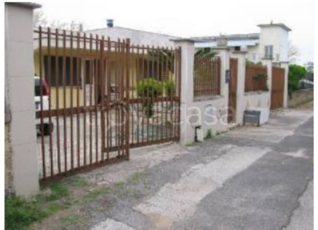 immagine annuncio 10 di 11