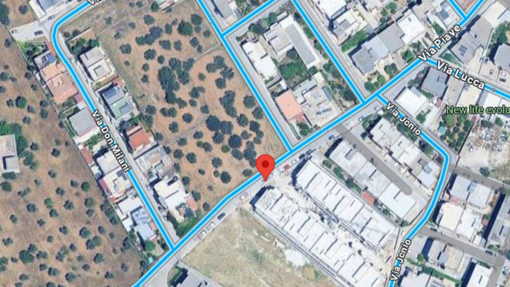 immagine annuncio 3 di 11