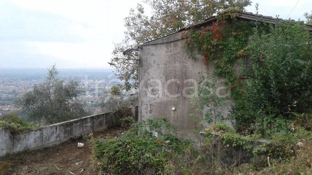 immagine annuncio 6 di 14