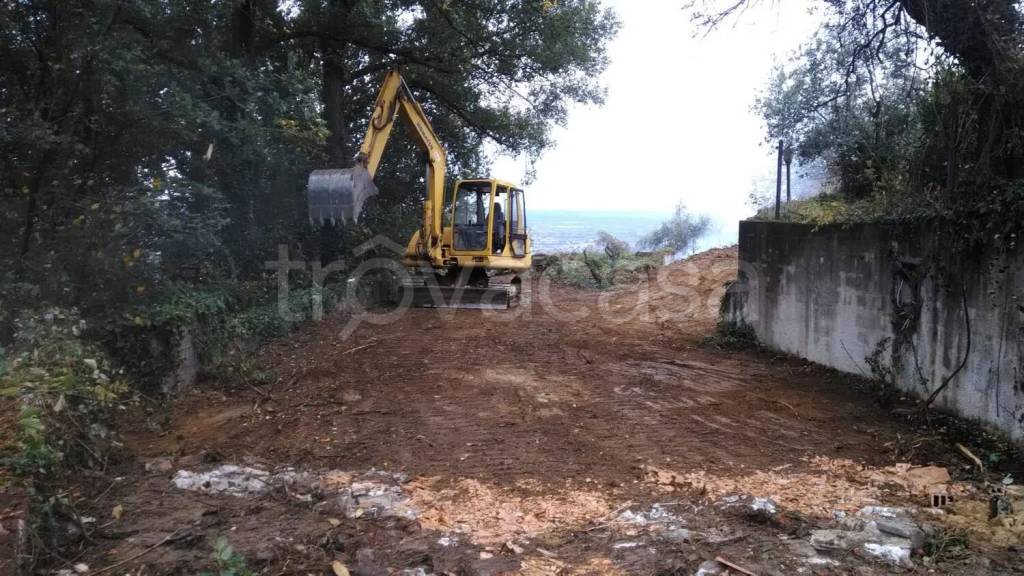 immagine annuncio 7 di 14