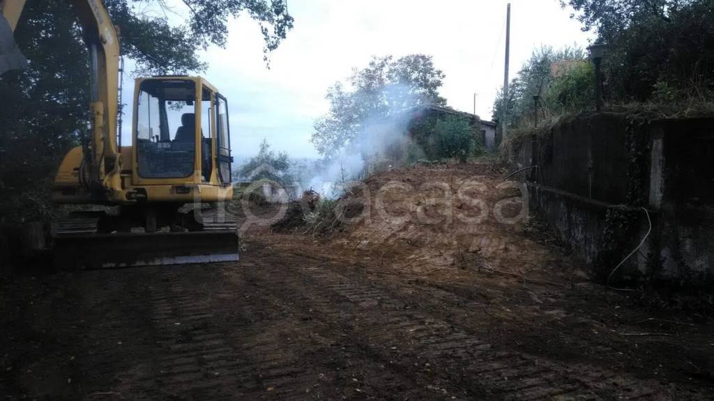 immagine annuncio 8 di 14