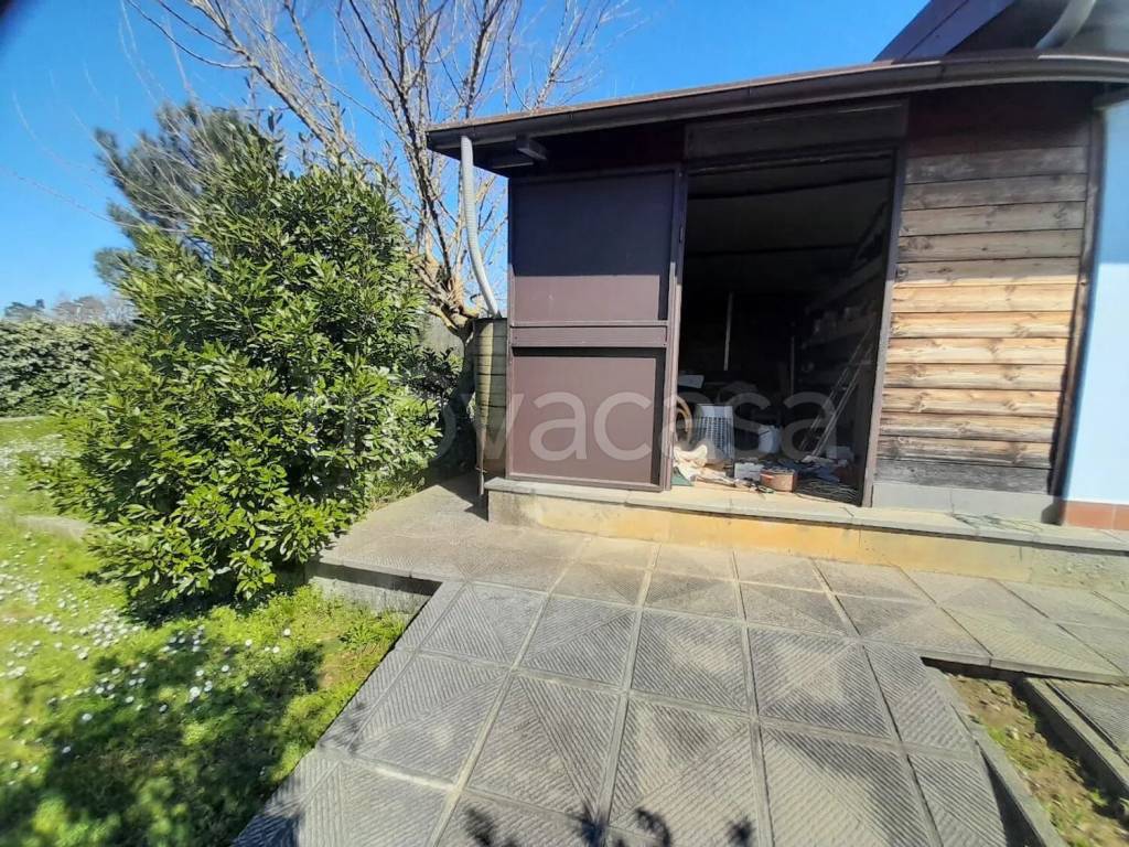 immagine annuncio 4 di 15