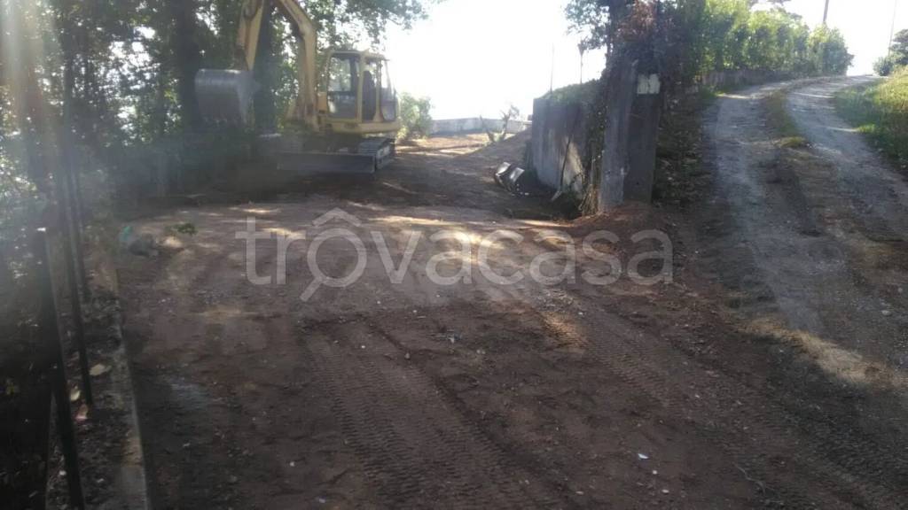 immagine annuncio 11 di 14