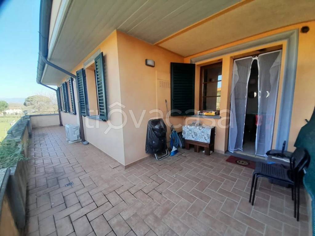 immagine annuncio 3 di 14