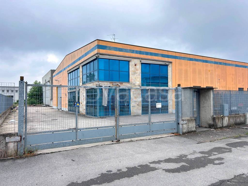 immagine annuncio 5 di 15