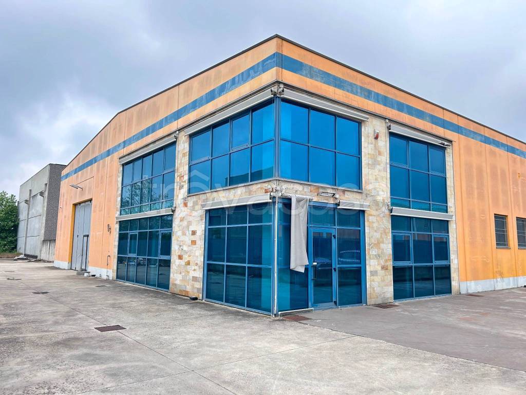 immagine annuncio 6 di 15