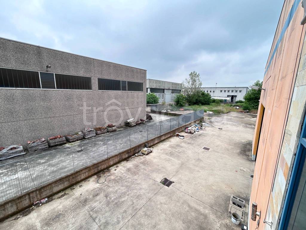 immagine annuncio 11 di 15