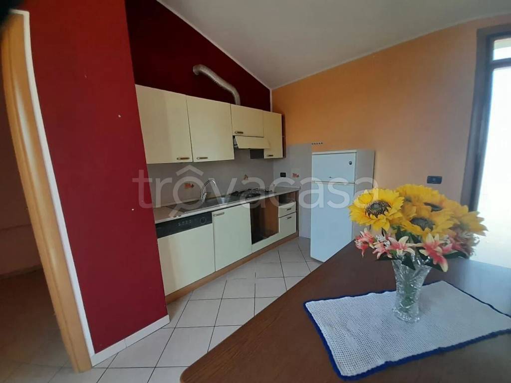 immagine annuncio 1 di 9