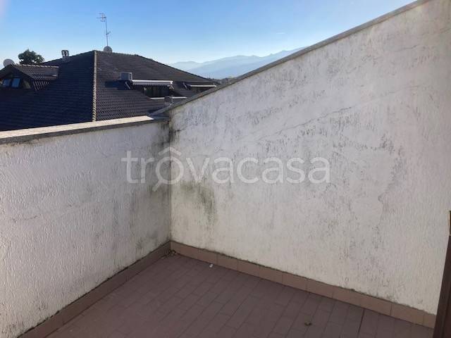 immagine annuncio 9 di 12