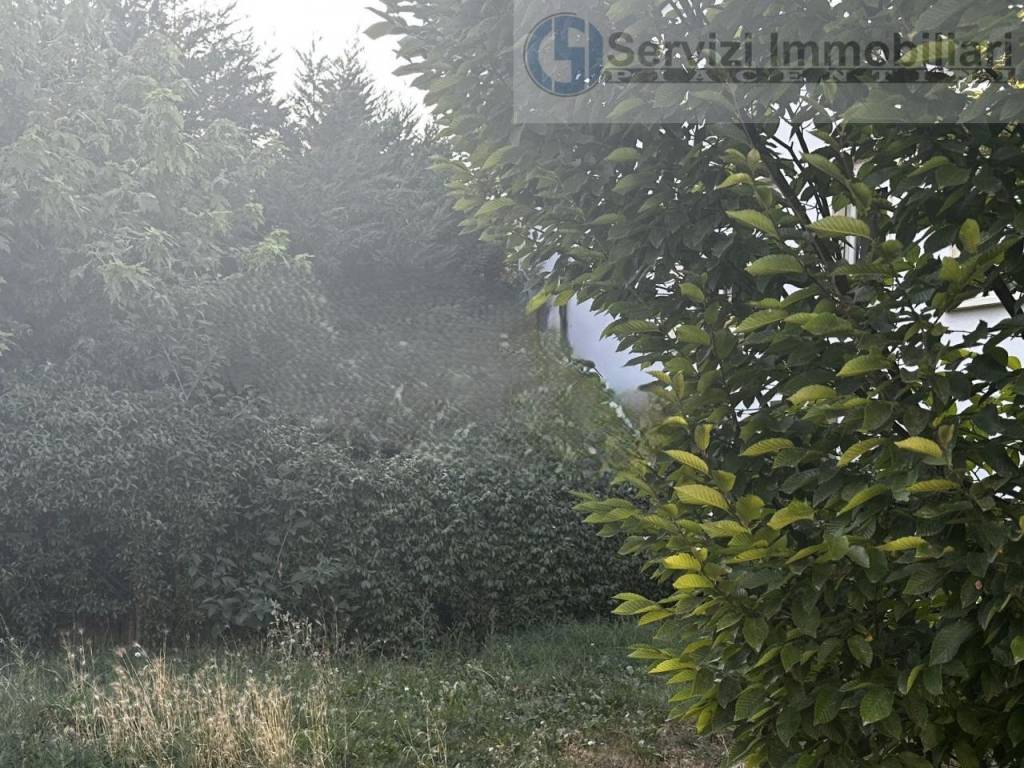 immagine annuncio 5 di 11