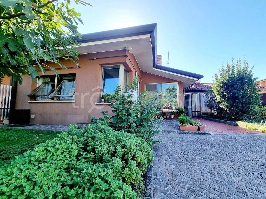 immagine annuncio 2 di 10