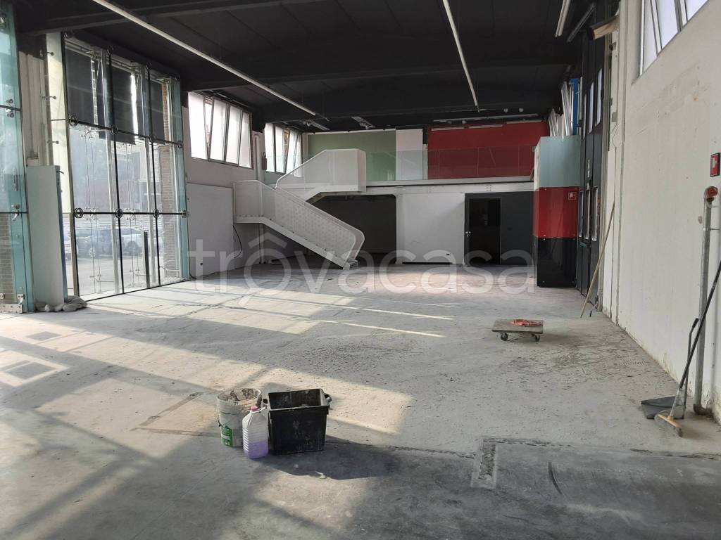 immagine annuncio 11 di 15