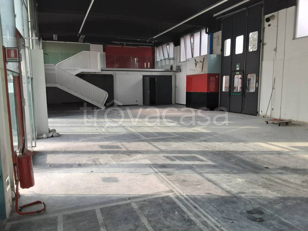 immagine annuncio 12 di 15