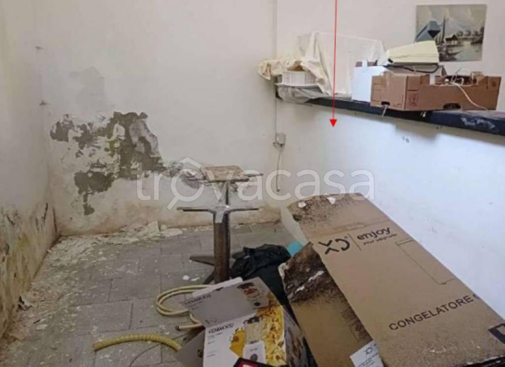 immagine annuncio 4 di 14