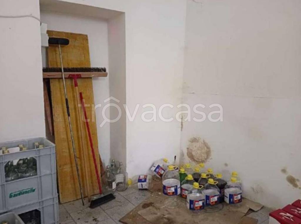 immagine annuncio 9 di 14