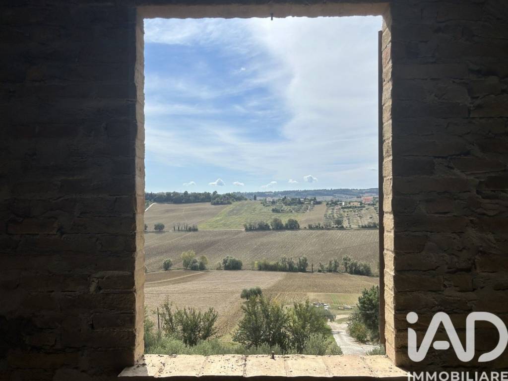 immagine annuncio 12 di 13