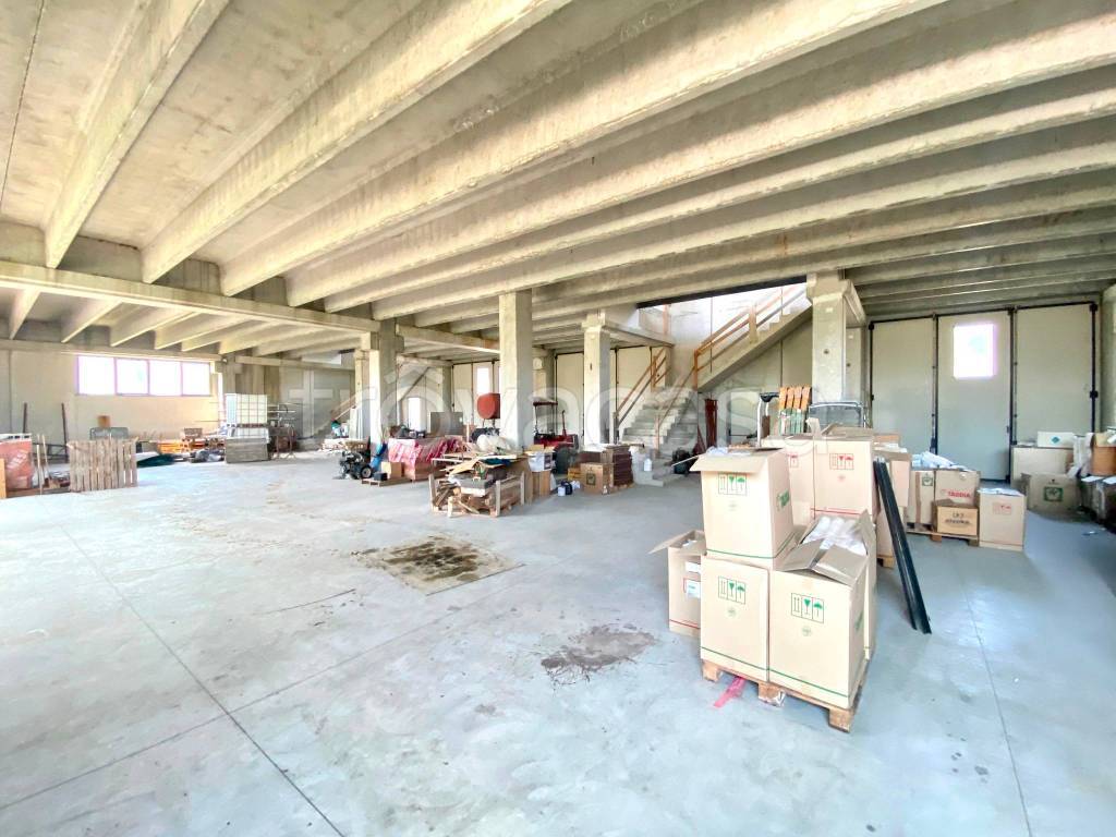 immagine annuncio 10 di 15