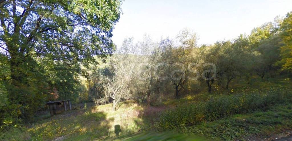 immagine annuncio 3 di 9