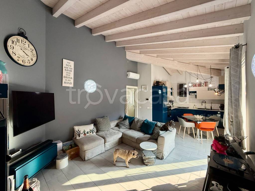 immagine annuncio 4 di 15