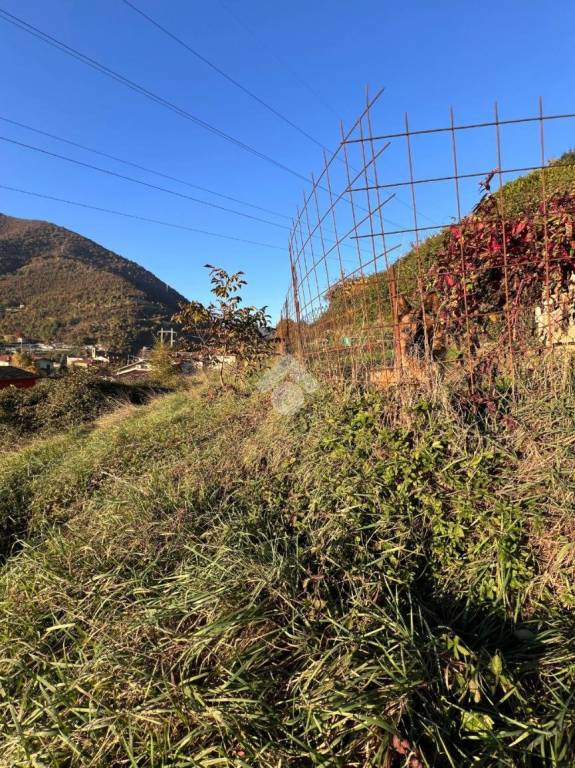 immagine annuncio 11 di 13