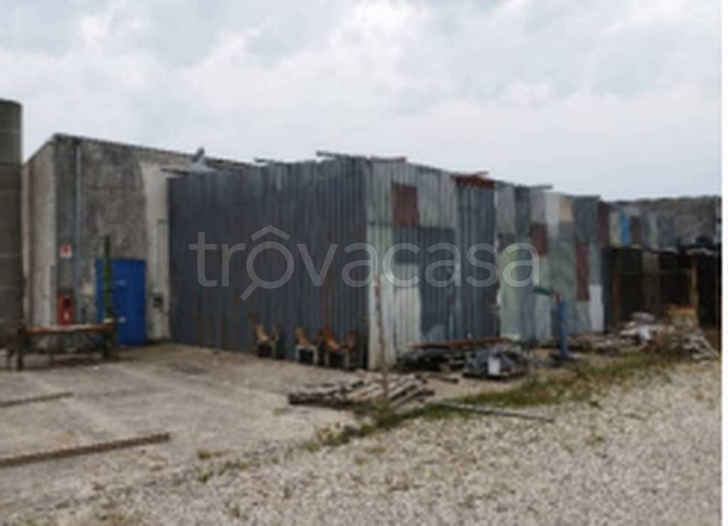 immagine annuncio 6 di 13