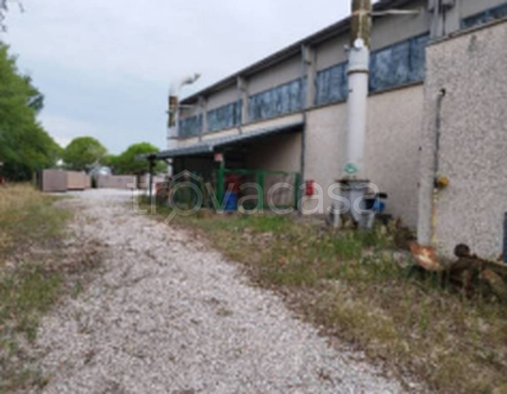 immagine annuncio 8 di 13