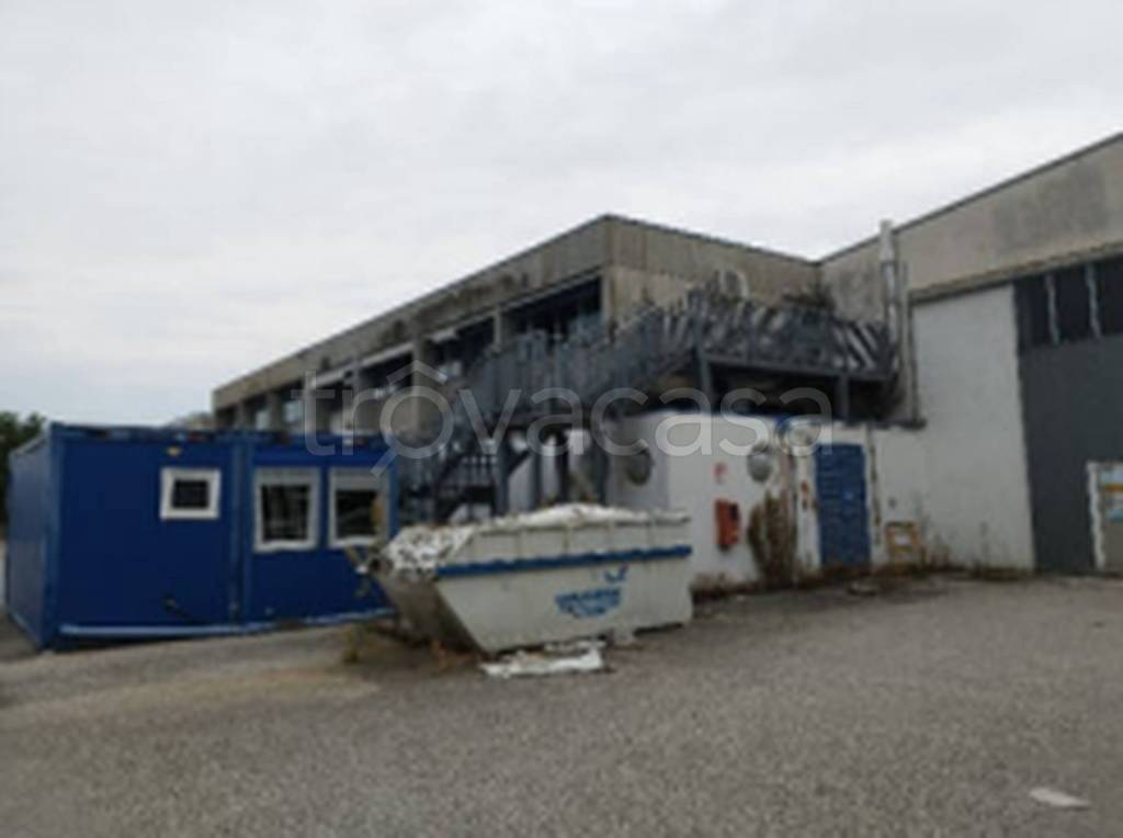 immagine annuncio 12 di 13