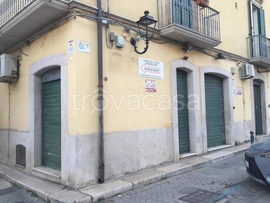 immagine annuncio 6 di 7