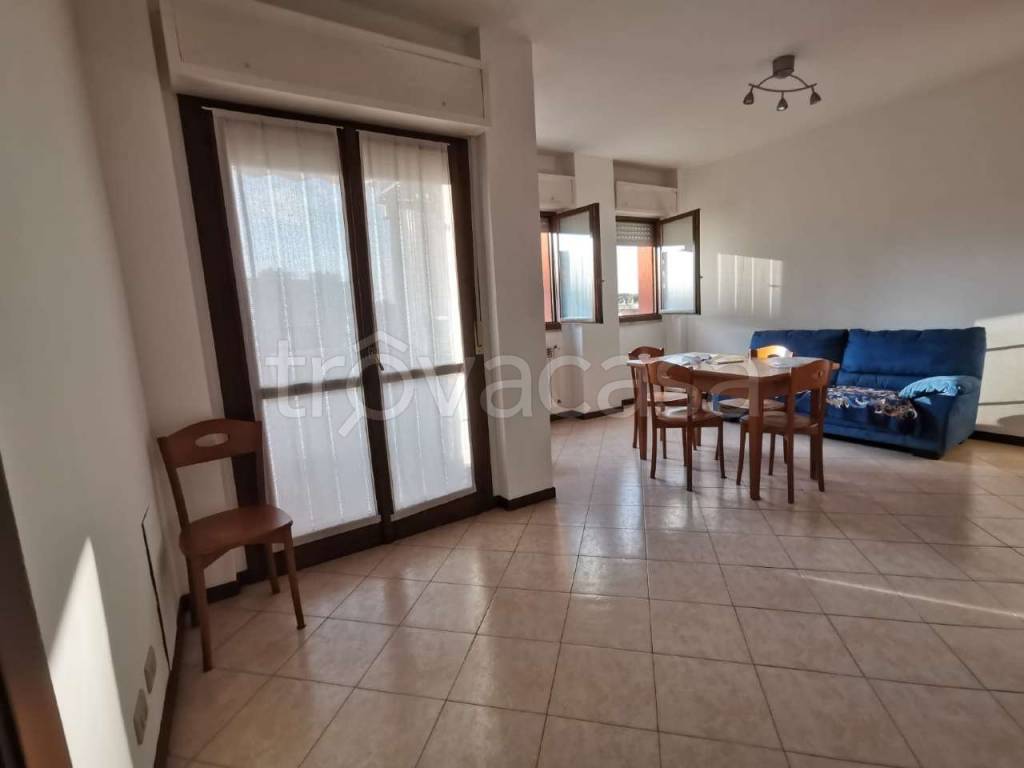 immagine annuncio 9 di 13