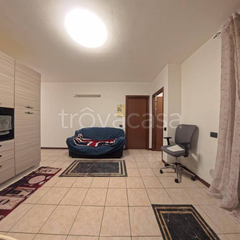 immagine annuncio 1 di 12