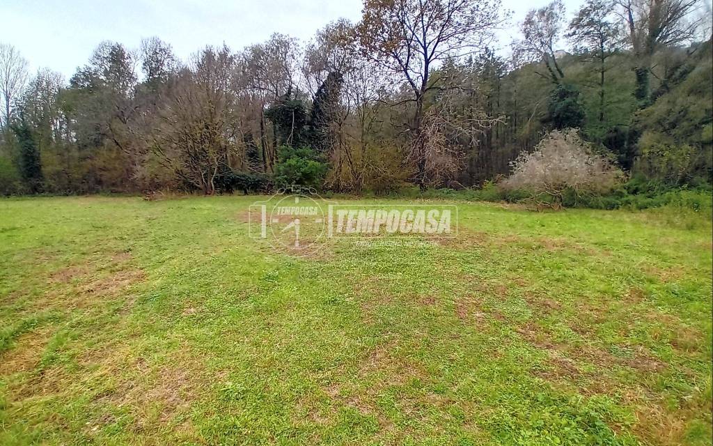 immagine annuncio 4 di 12