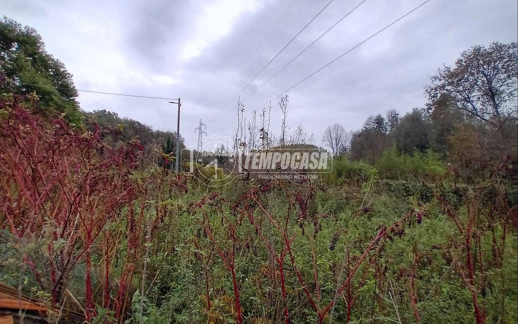 immagine annuncio 7 di 12