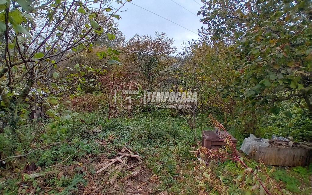 immagine annuncio 8 di 12