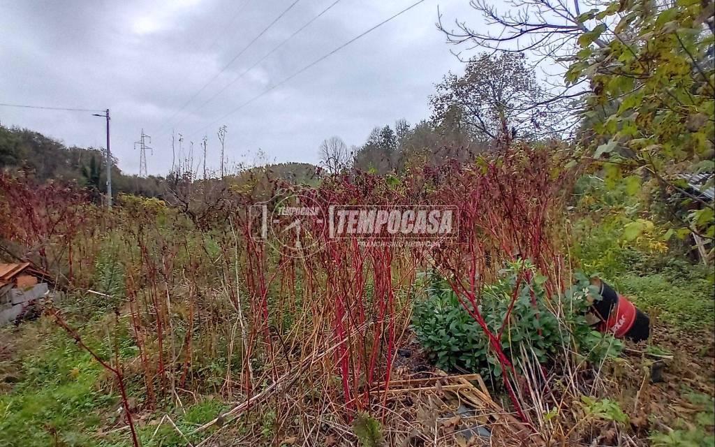 immagine annuncio 9 di 12