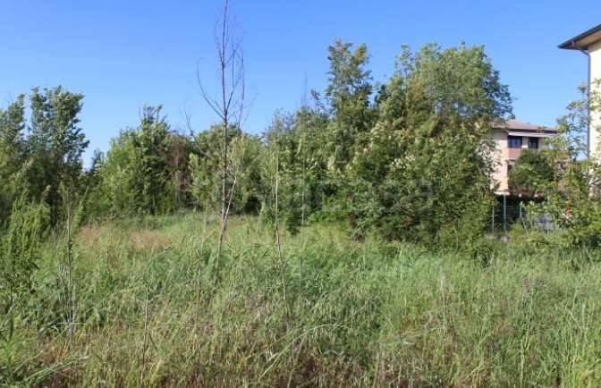 immagine annuncio 3 di 8