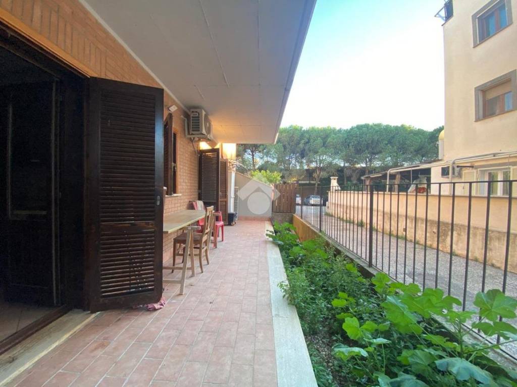 immagine annuncio 12 di 14