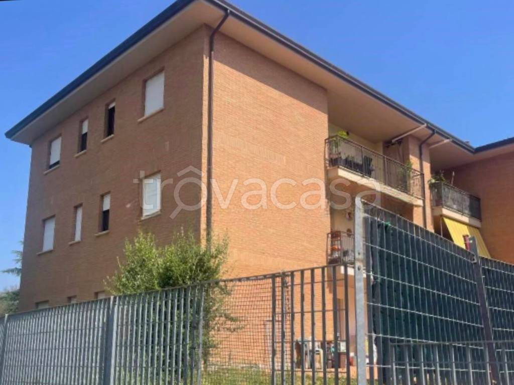 immagine annuncio 2 di 12