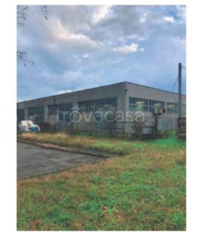 immagine annuncio 2 di 12