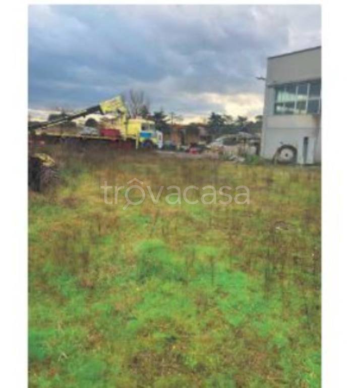 immagine annuncio 3 di 12