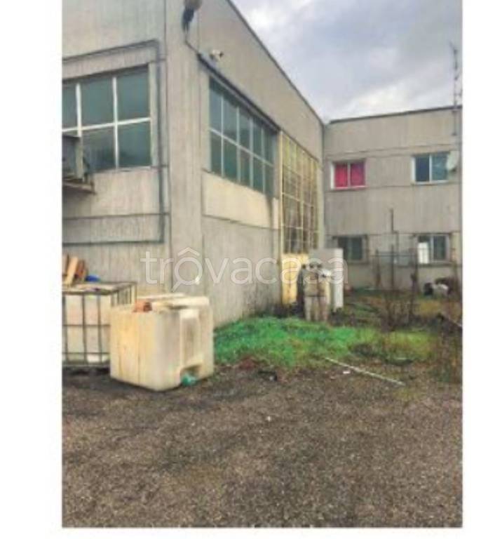 immagine annuncio 4 di 12