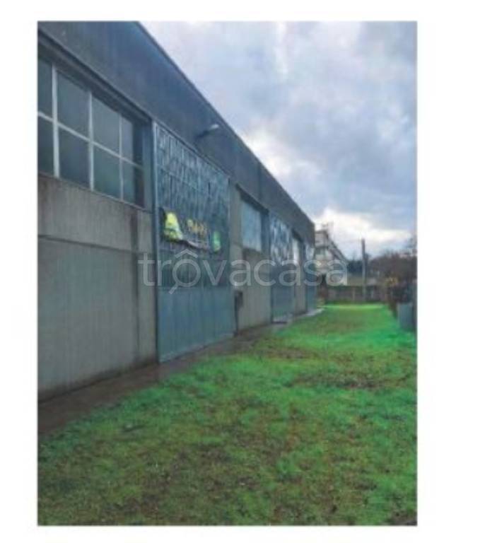 immagine annuncio 5 di 12