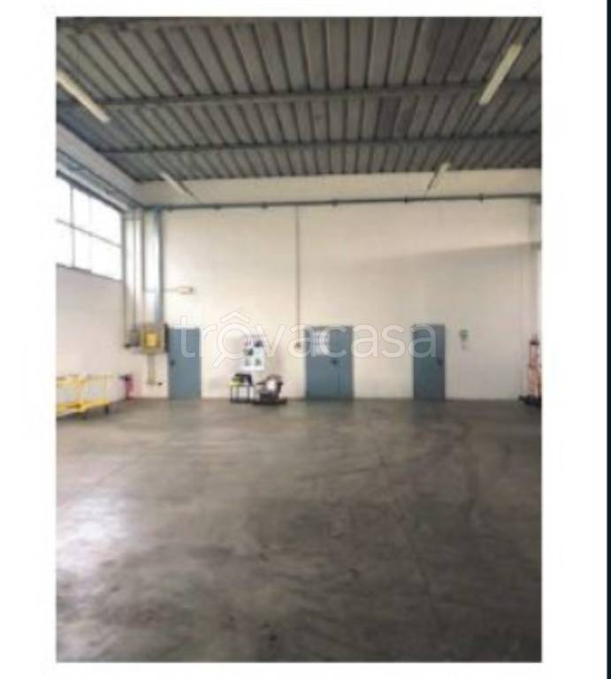 immagine annuncio 6 di 12