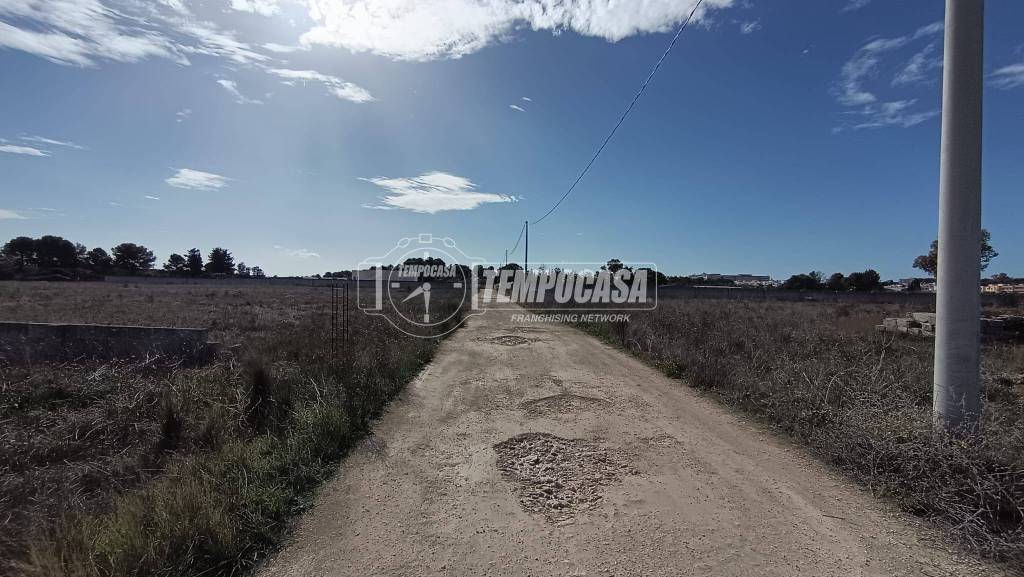 immagine annuncio 3 di 10