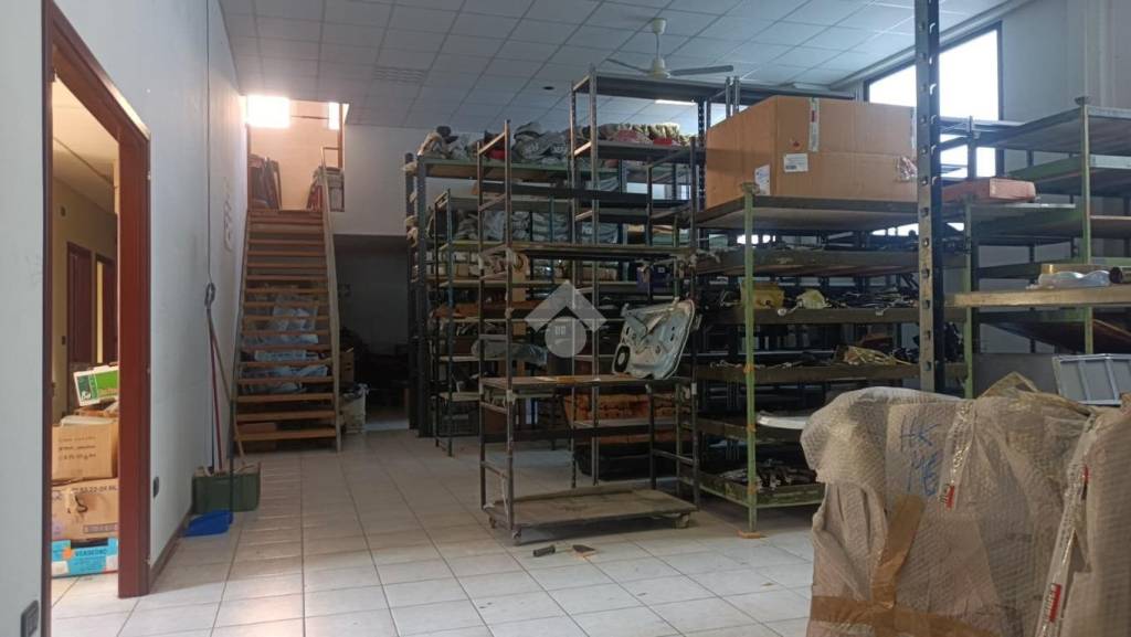 immagine annuncio 11 di 15