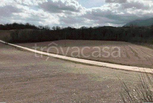 immagine annuncio 5 di 8