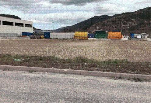 immagine annuncio 7 di 8